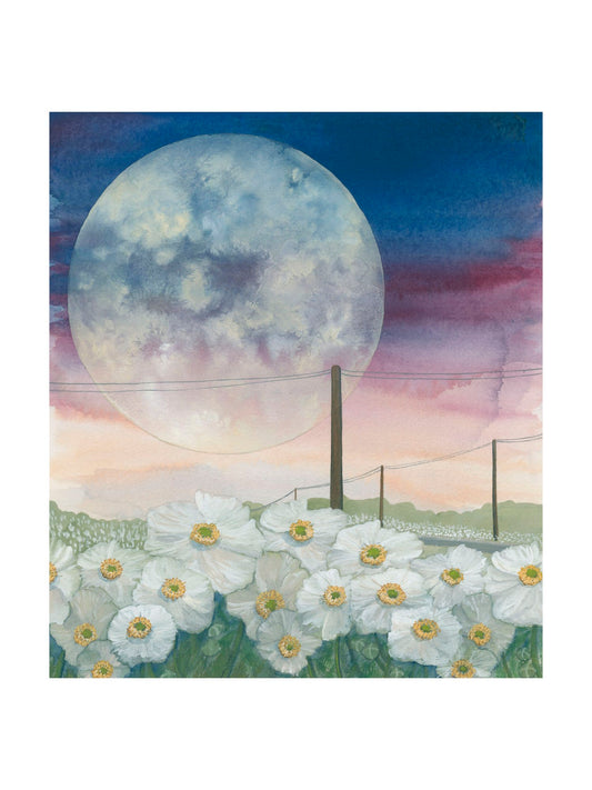 And Dance by the Light of the Moon | Heather Sundquist Hall (TX)
