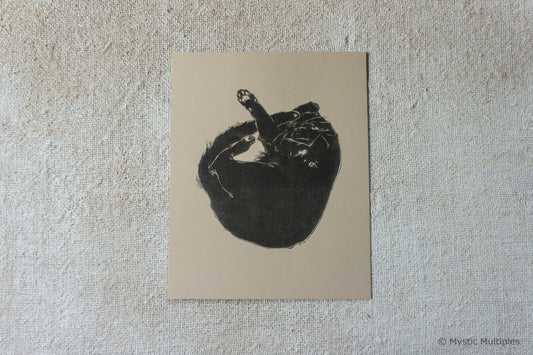 Baby Cat | Sarah Welch (TX)