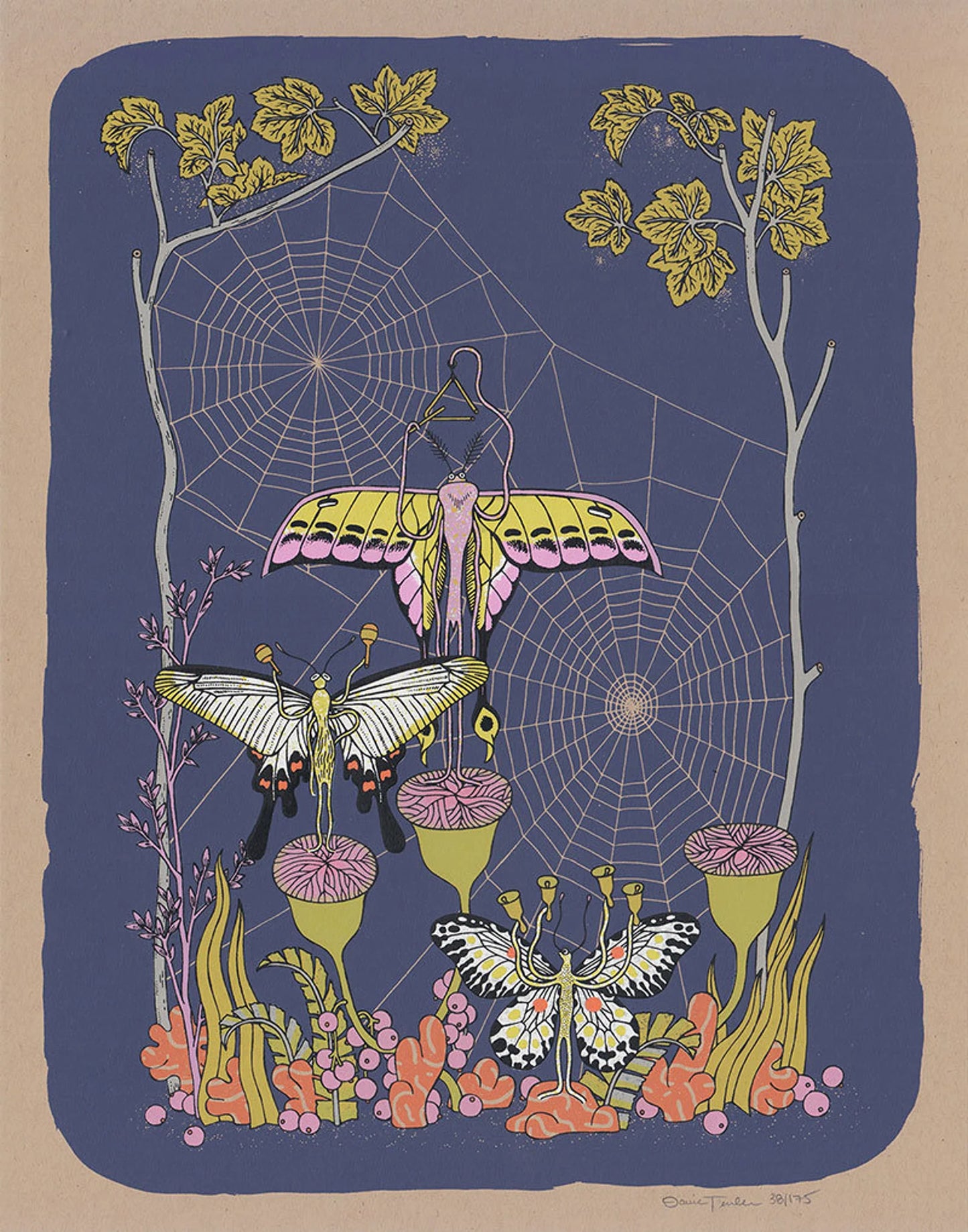 Music Moths | Daria Tessler (OR)