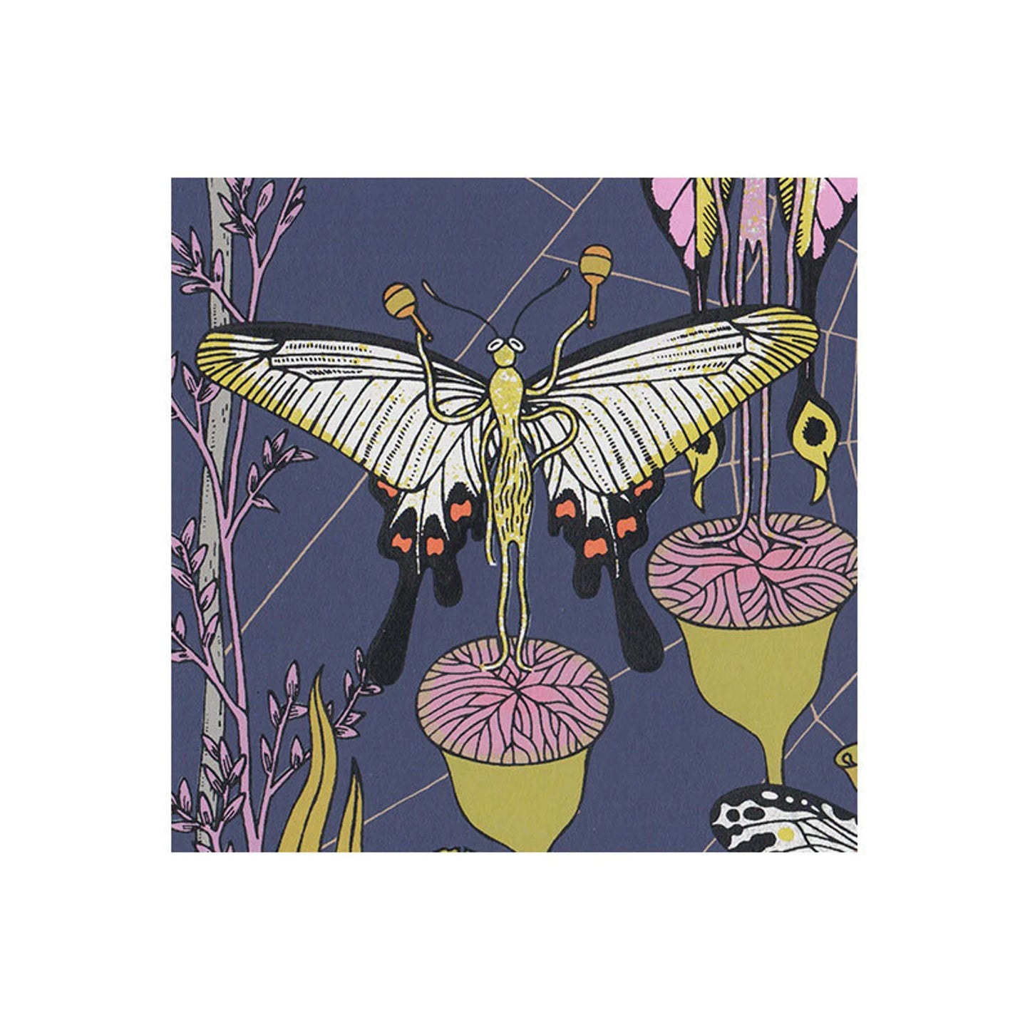 Music Moths | Daria Tessler (OR)