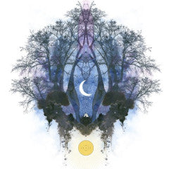 Starstruck | Melissa Moss (NC)