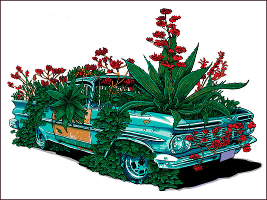 Kudzu Camino Screen Print | Time Doyle (TX)