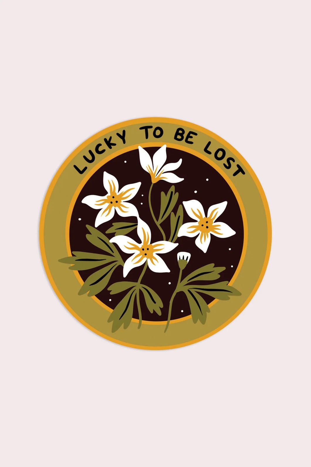 Lucky To Be Lost Vinyl Sticker | SHC x City And Colour