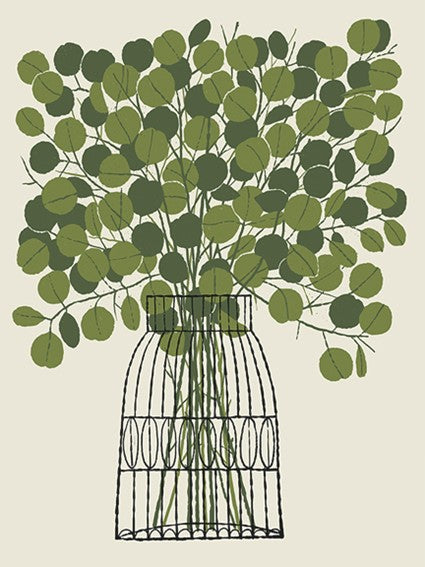 Eucalyptus | Methane Studios (GA)