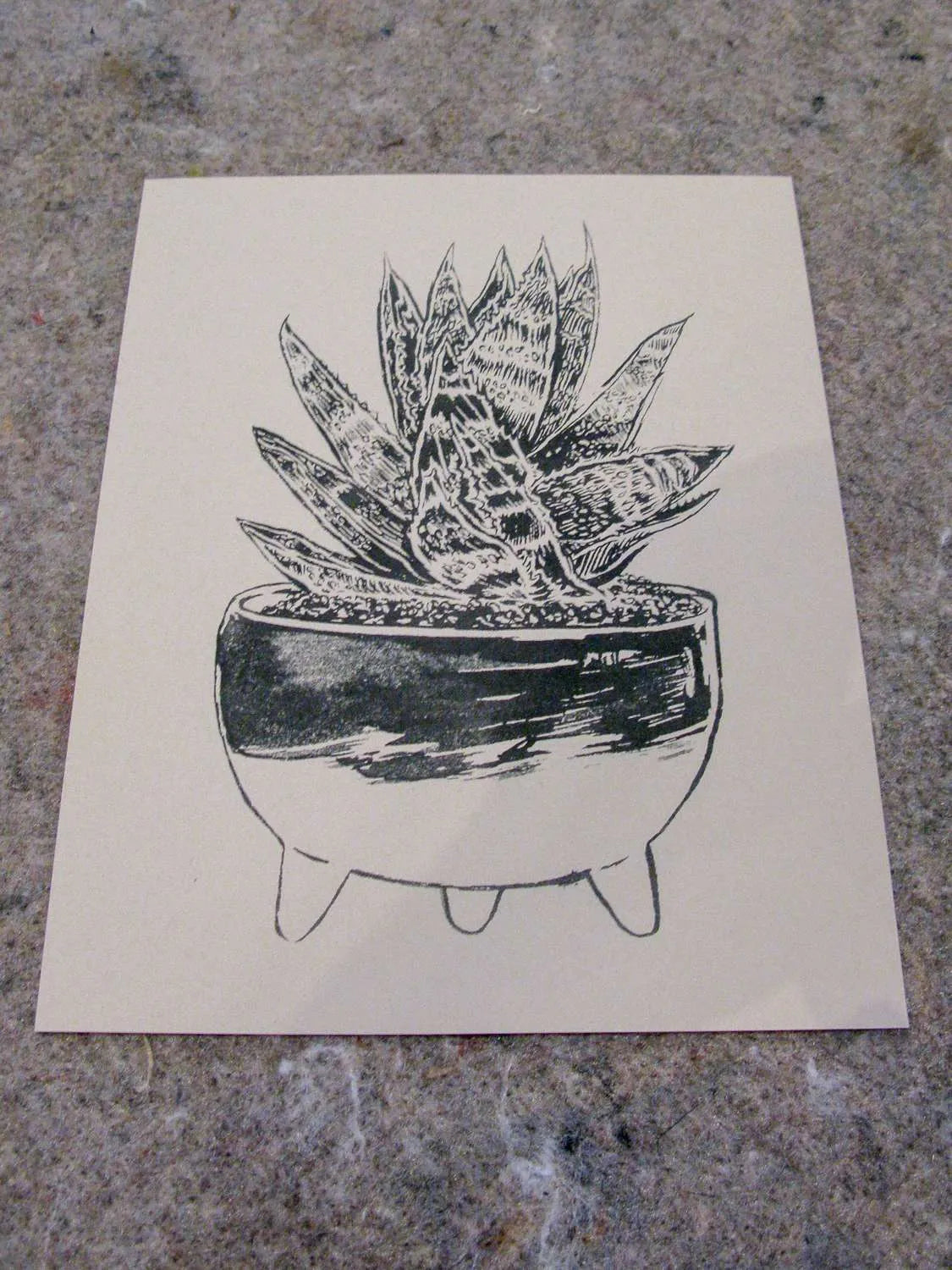 Molcajete | Sarah Welch (TX)