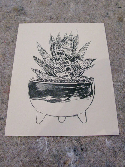 Molcajete | Sarah Welch (TX)