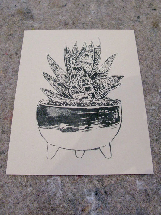Molcajete | Sarah Welch (TX)