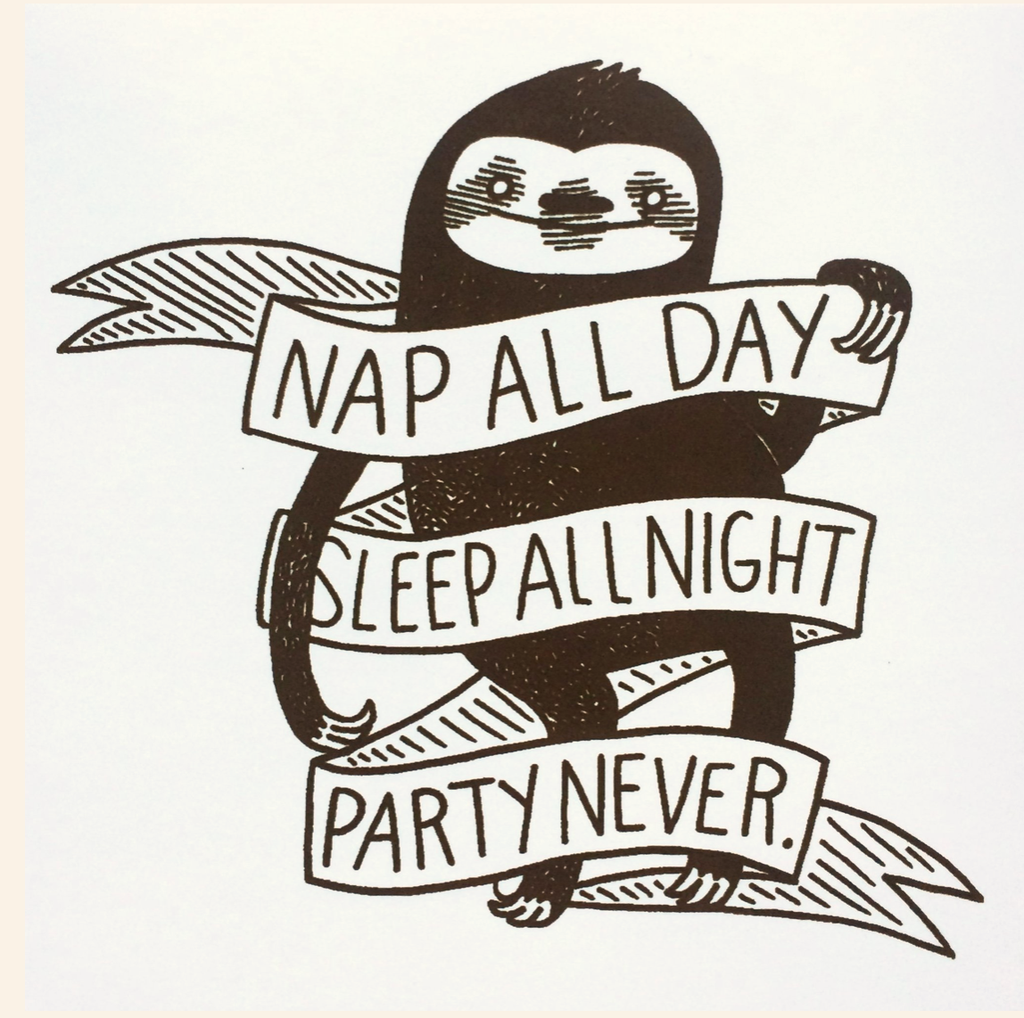 Nap All Day Vinyl Stickers | Silver Sprocket