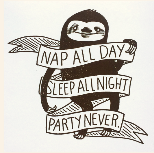 Nap All Day Vinyl Stickers | Silver Sprocket