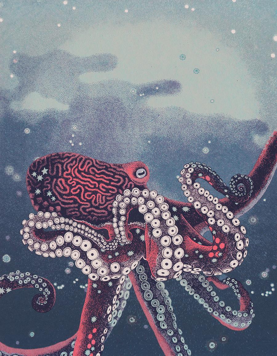 Octopus | Daria Tessler (OR)