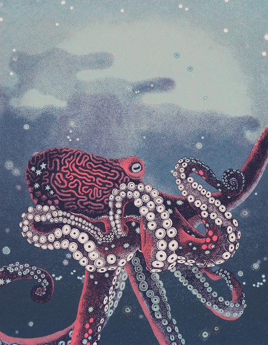 Octopus | Daria Tessler (OR)