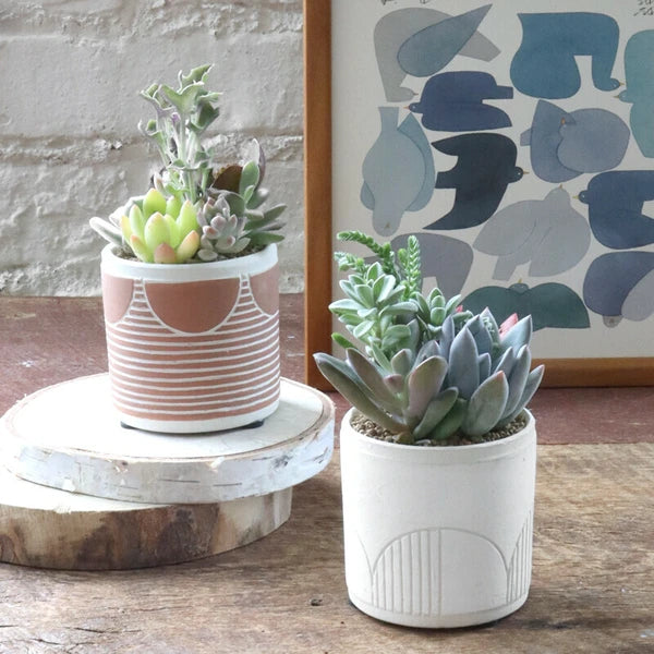 Striped Terracotta Planter 7 cm (Japan)