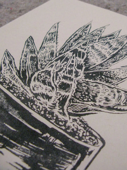 Molcajete | Sarah Welch (TX)