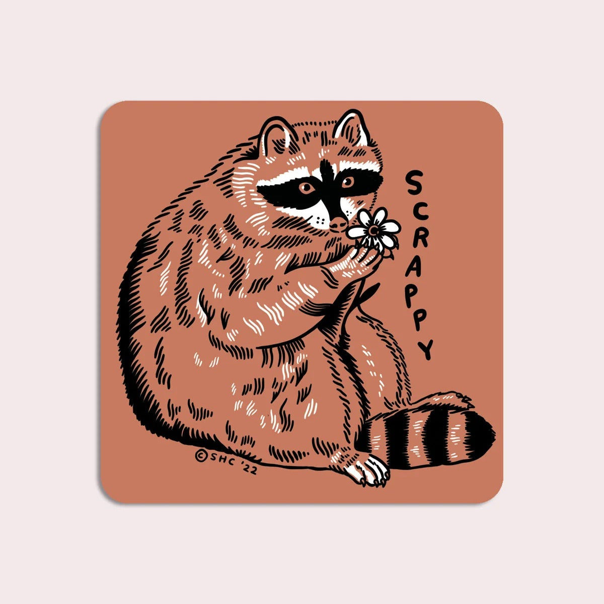 Scrappy Raccoon Vinyl Sticker | Olivia Mew (CAN)