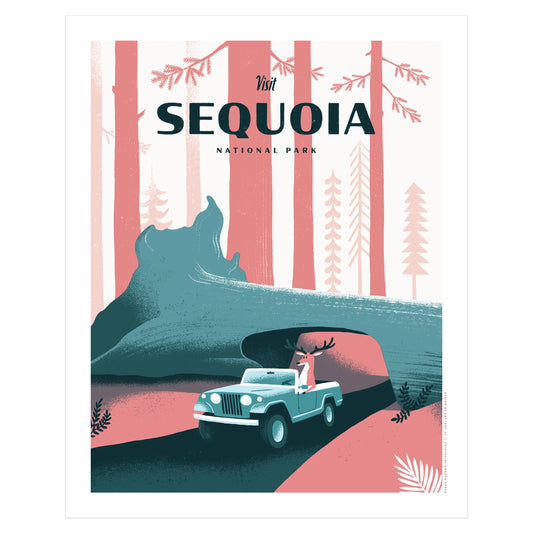 Sequoia National Park | Factory 43 (WA)