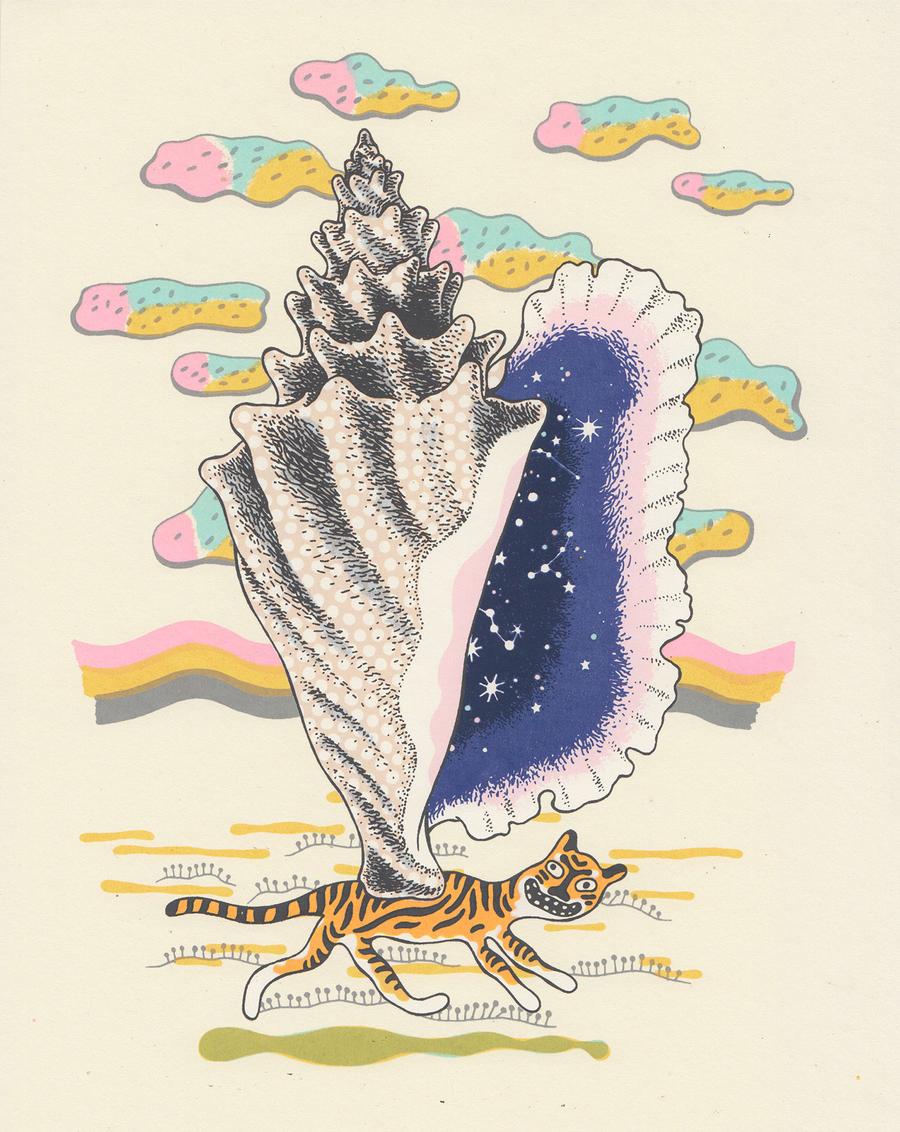 Tiger Carries Galaxy Shell | Daria Tessler (OR)