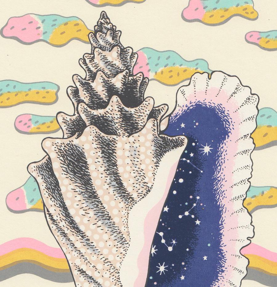 Tiger Carries Galaxy Shell | Daria Tessler (OR)
