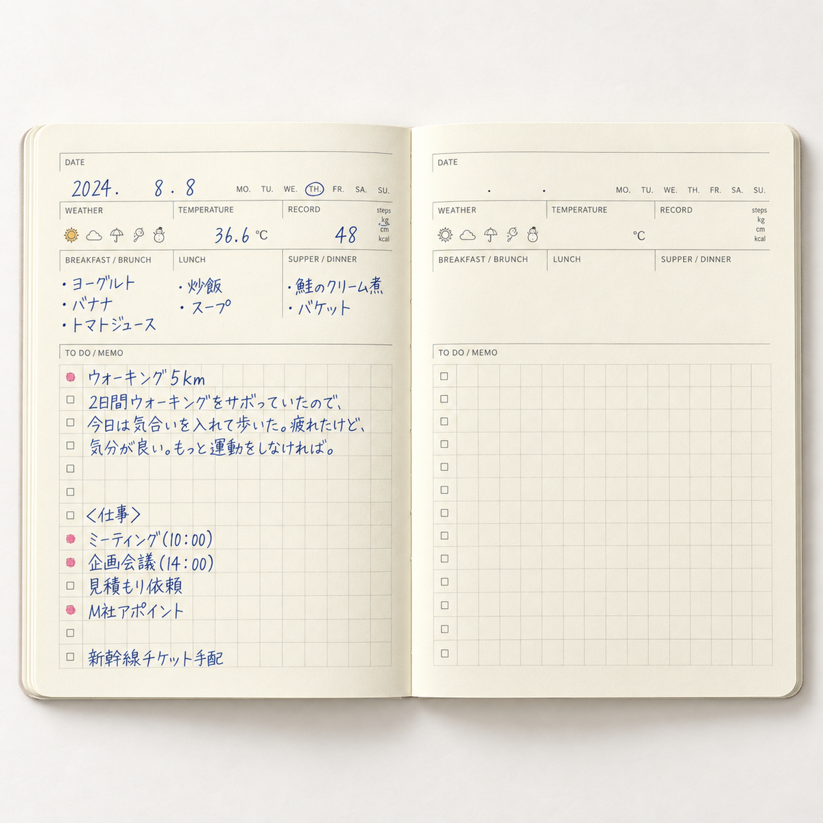 An open two-page planner or notebook showing a daily layout with date, weather, temperature, notes, and a to-do list in blue and pink handwriting on warm off-white paper.