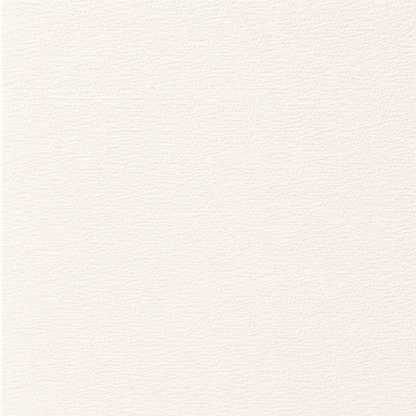 Postcard Style vif Art Paper | Watercolor/Coarse Grain | Maruman (Japan)