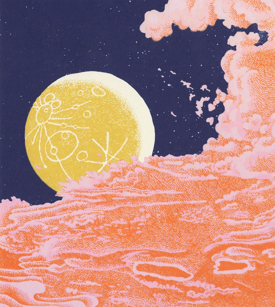 Which Way Birds Screen Print | Daria Tessler (OR)