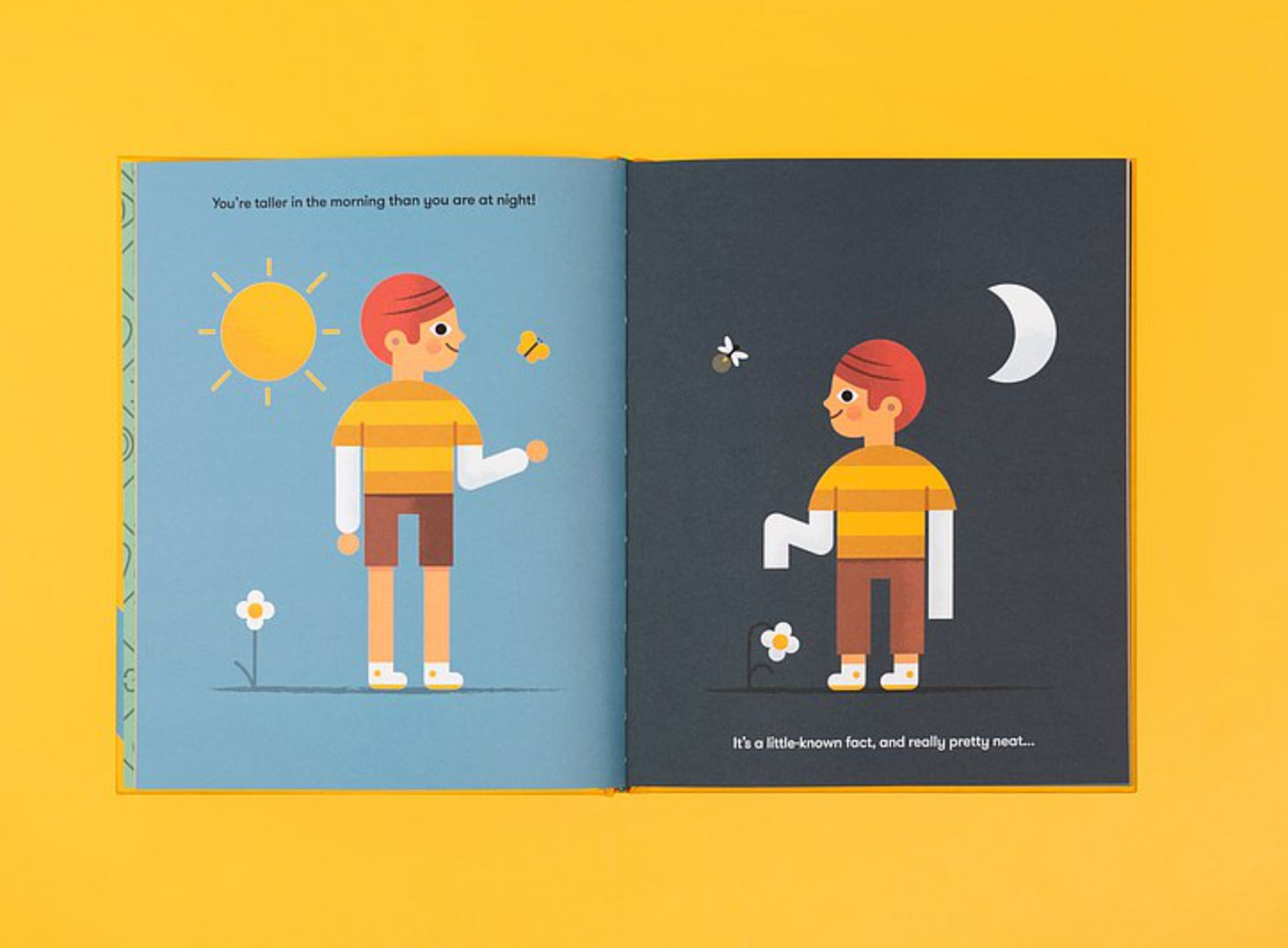 Little Known Facts : Human Bodies by Diarmuid O Cathain