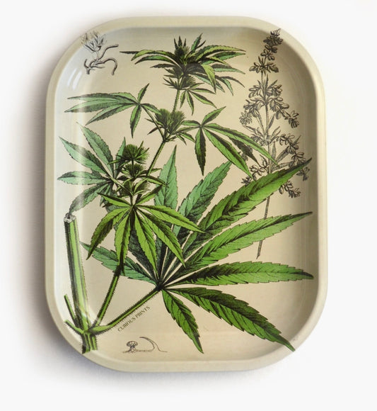 Cannabis Diagram Ritual Tray | Curious Prints (TX)
