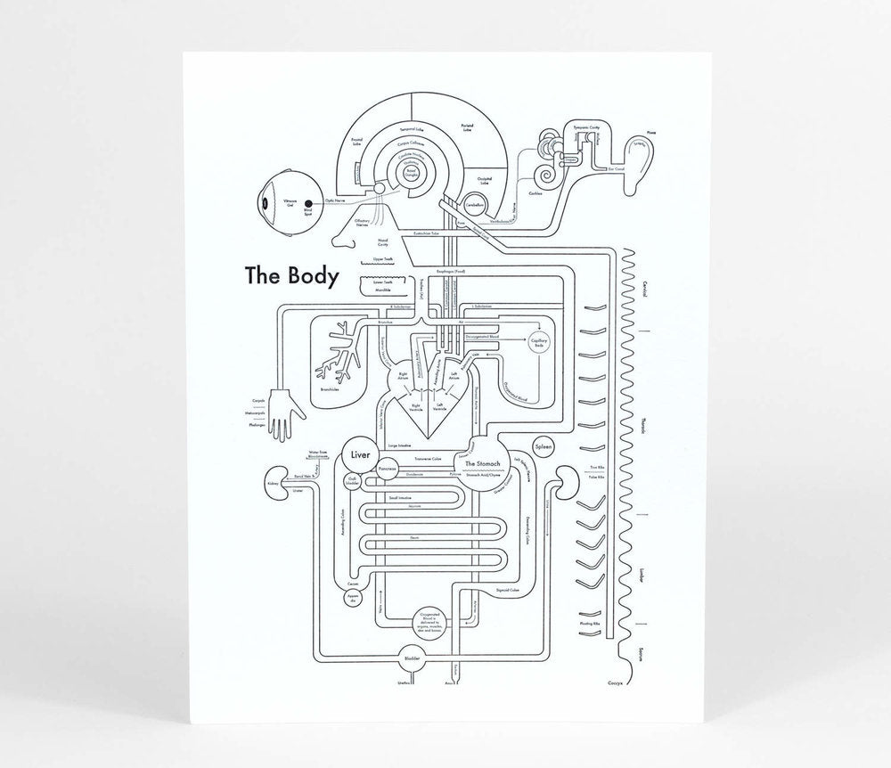 The Body | Archie’s Press (OR)