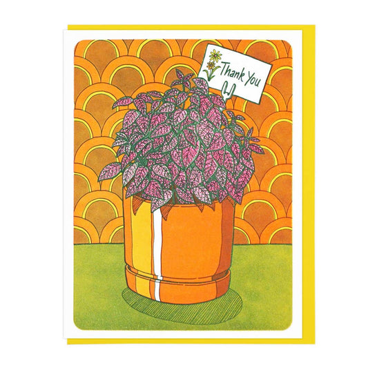 Polka Dot Plant Thank You | Lucky Horse Press (NJ)