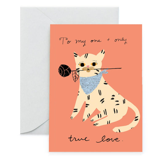 Romance Cat | Carolyn Suzuki (CA)