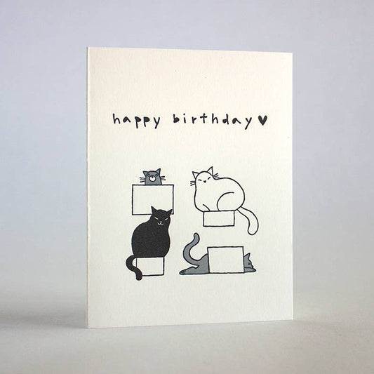 Birthday Cats | Fugu Fugu (CA)