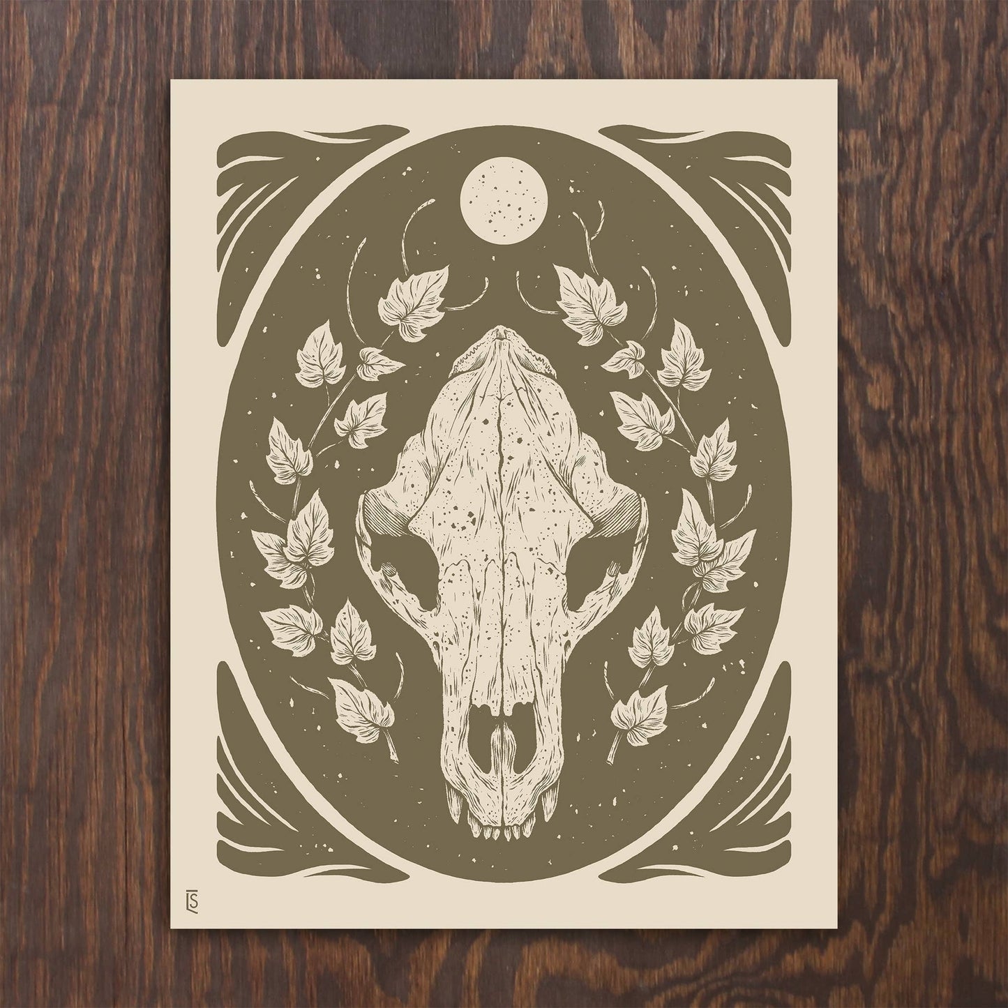 Bear Skull and Ivy | Logan Schmitt (WV)