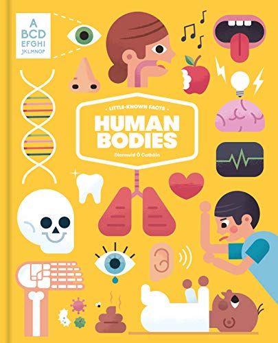 Little Known Facts : Human Bodies by Diarmuid O Cathain