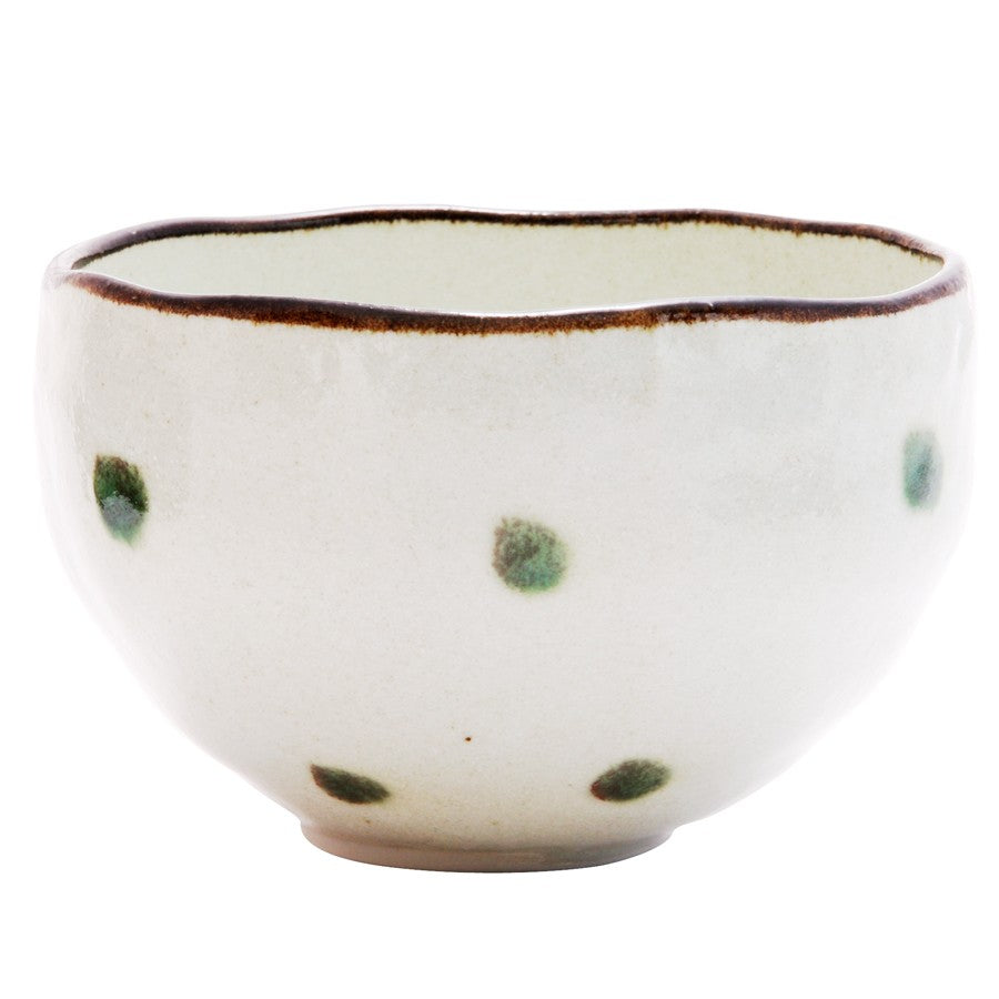 Soyo Mino Ware Set