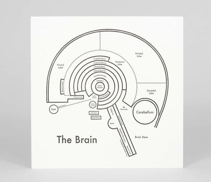 The Brain | Archie’s Press (OR)
