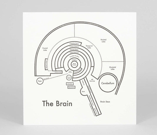 The Brain | Archie’s Press (OR)