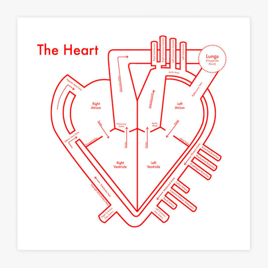 The Heart | Archie’s Press (OR)
