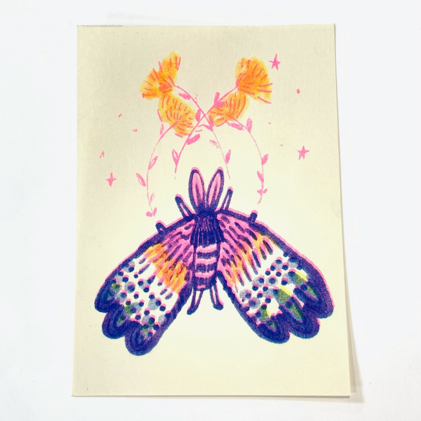 Happy Moth | Mylan (TX)