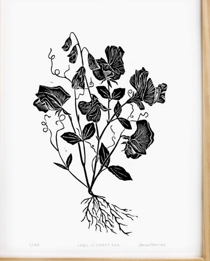 Sweet Pea by Anna Tovar (TX) | 18x24