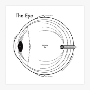 The Eye | Archie’s Press (OR)