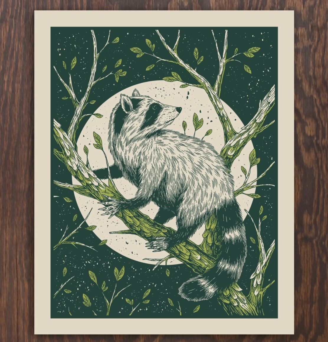 Raccoon | Logan Schmitt (WV)