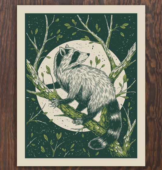 Raccoon | Logan Schmitt (WV)