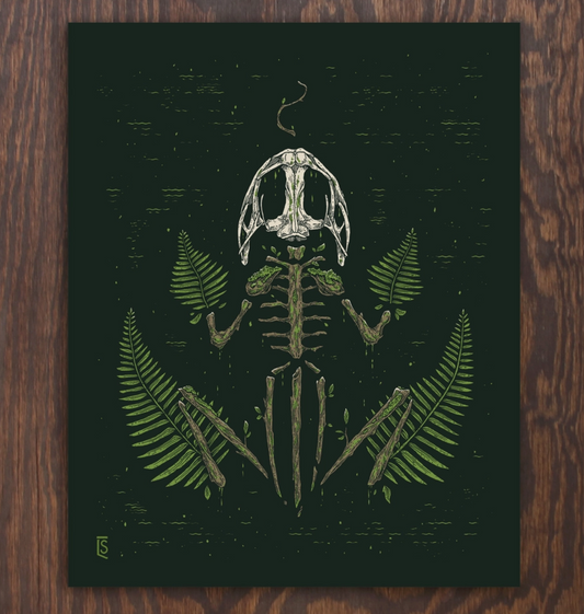 Ghost of a Bullfrog | Logan Schmitt (WV)