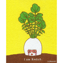 Load image into Gallery viewer, I Am Radish | Naoshi (CA)
