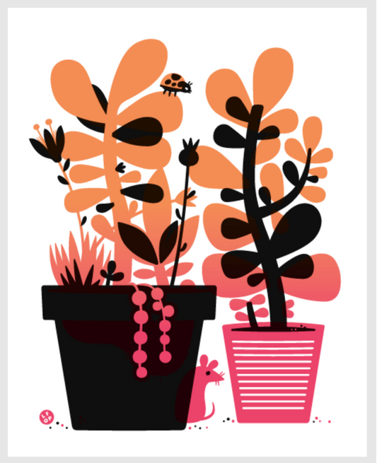 Sunset Succulents | The Little Friends of Printmaking (CA)