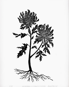 Chrysanthemum by Anna Tovar (TX) | 18x24