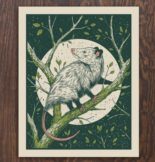 Opossum | Logan Schmitt (WV)