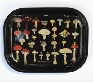 Black Mushroom Diagram Tray | Curious Prints (TX)
