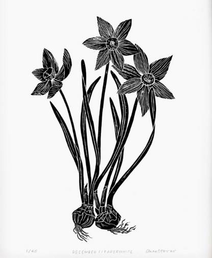 Paperwhite by Anna Tovar (TX) | 18x24