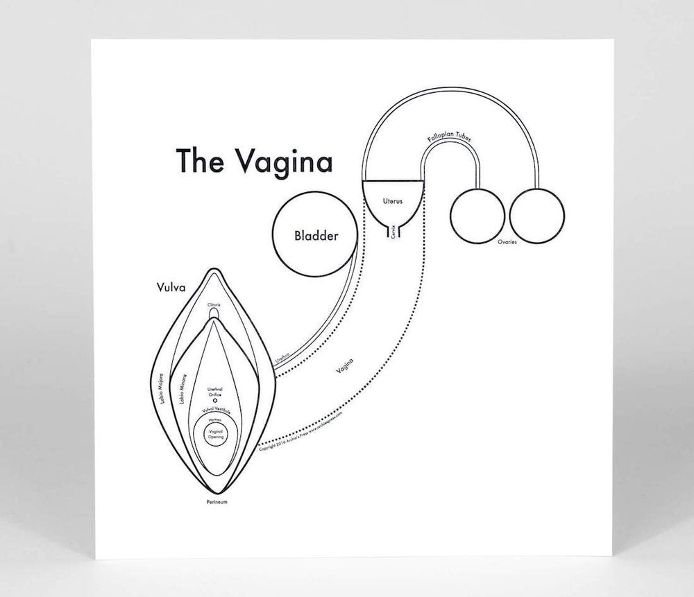 The Vagina | Archie’s Press (NY)