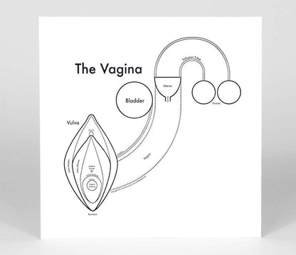 The Vagina | Archie’s Press (NY)